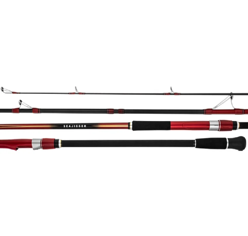 long-range castable fish finders Daiwa 23 Seajigger Surf Rods