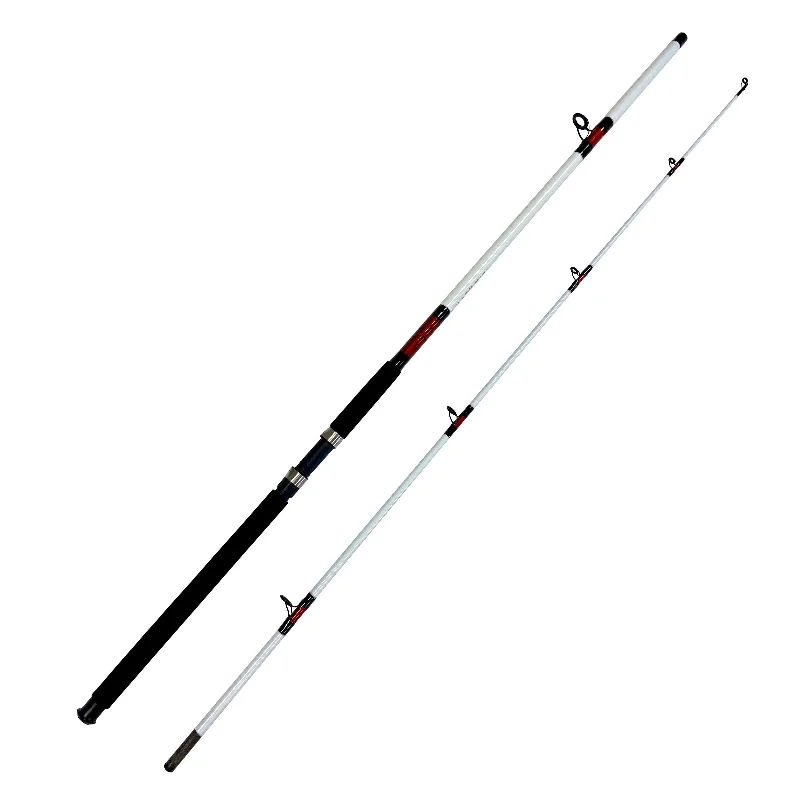 White Beast - 15-30 lb. 10 ft. 2pc Surf Rod